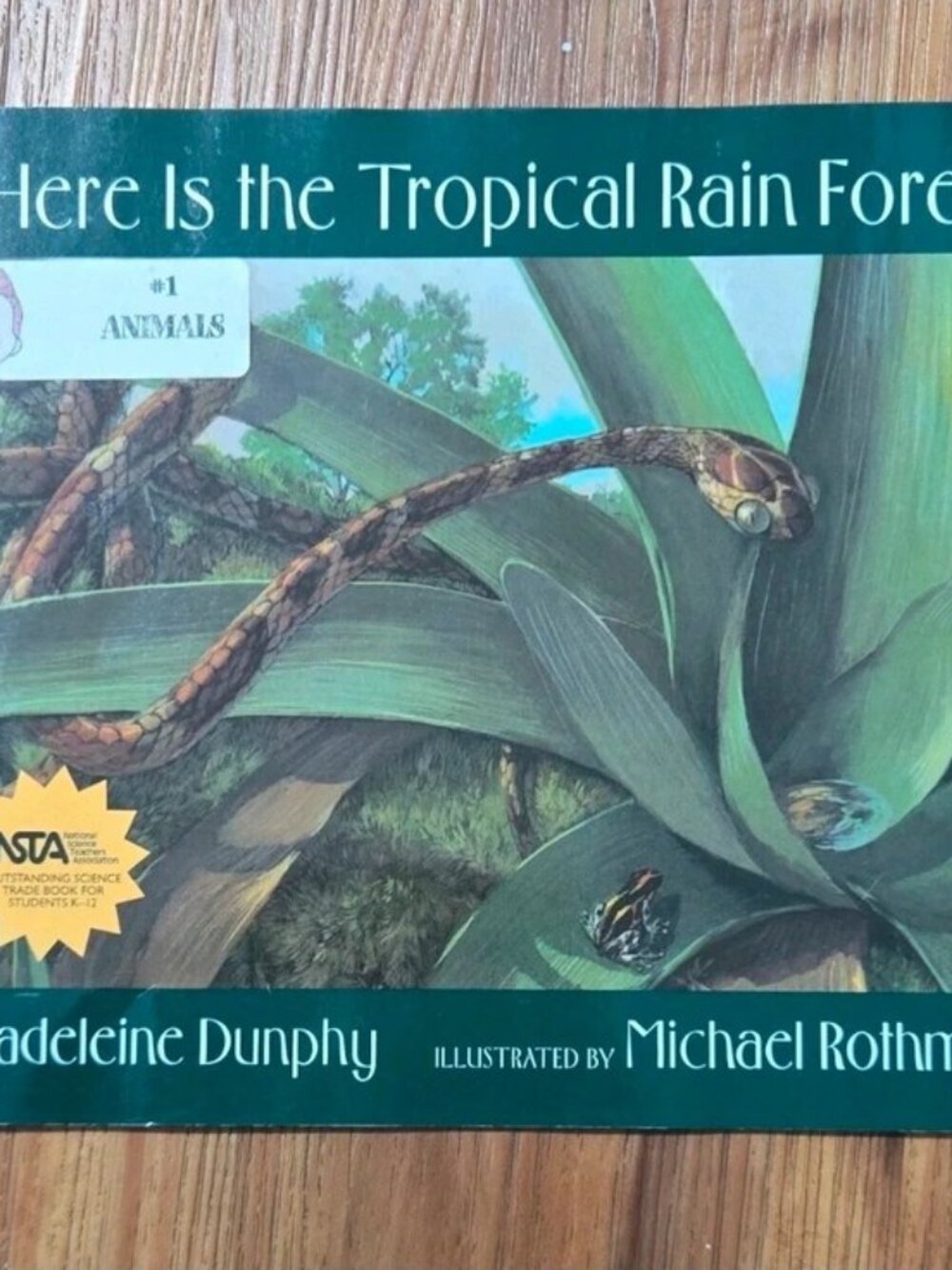Madeleine Dunphy Here Is the Tropical Rain Forest, Hardcover, Illustrated